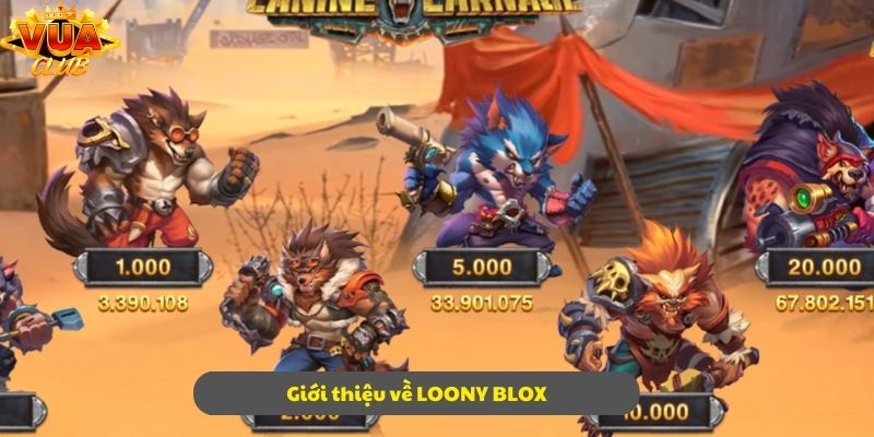 Giới thiệu vài nét khái quát về LOONY BLOX